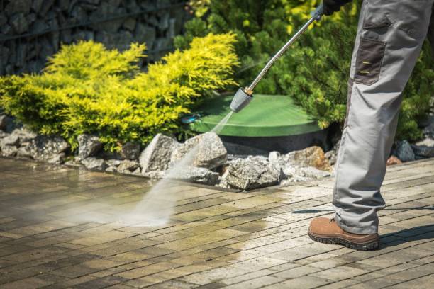 Best Gutter Cleaning and Brightening in Riverdale, IL