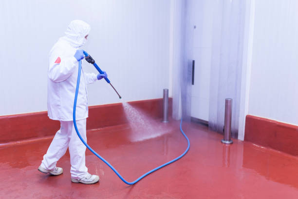 Best Residential Pressure Washing in Riverdale, IL